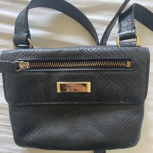 Cole Haan Purse